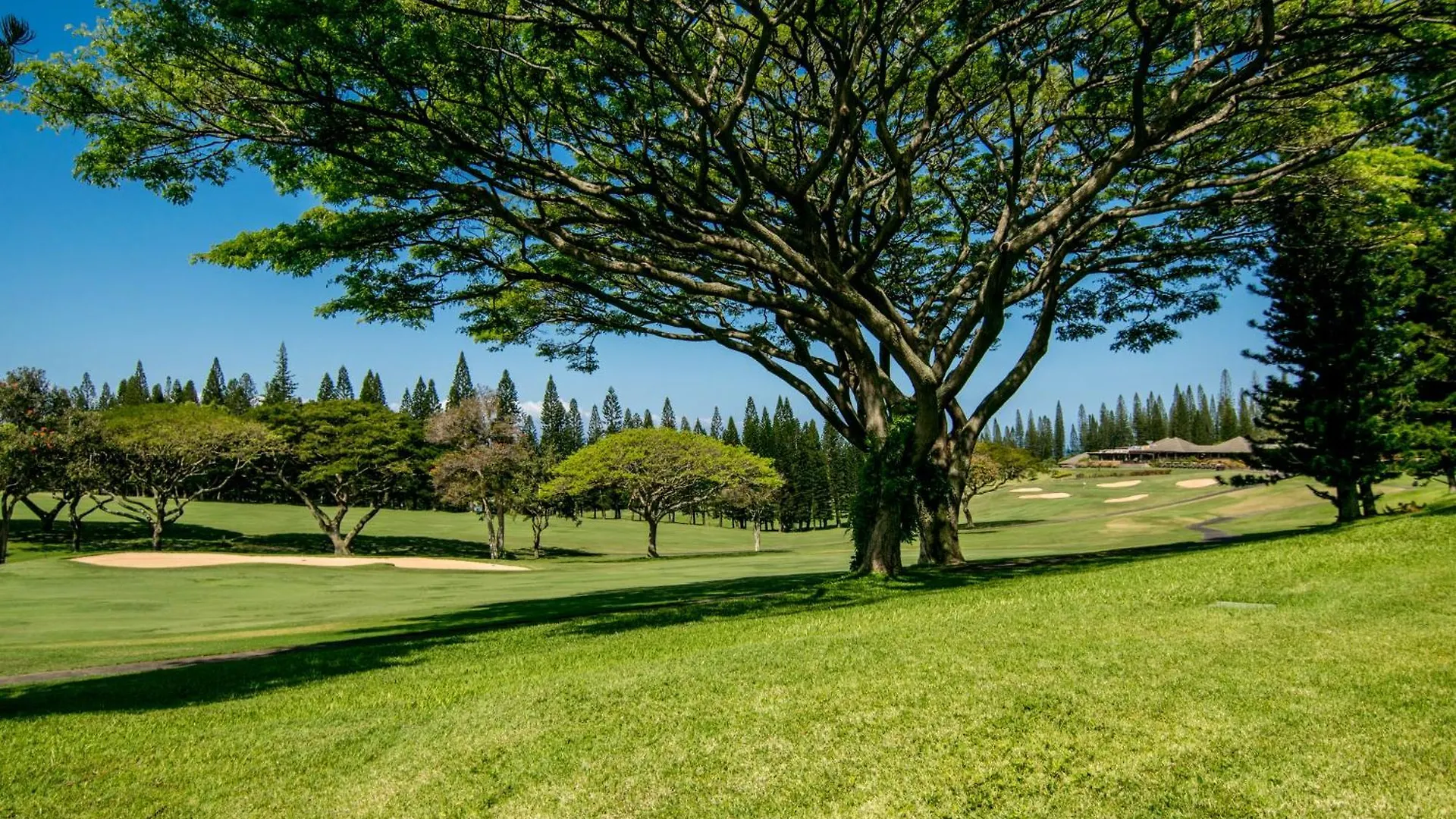 Kapalua Golf Villas 14P1-2 カハナ 0*,  米国